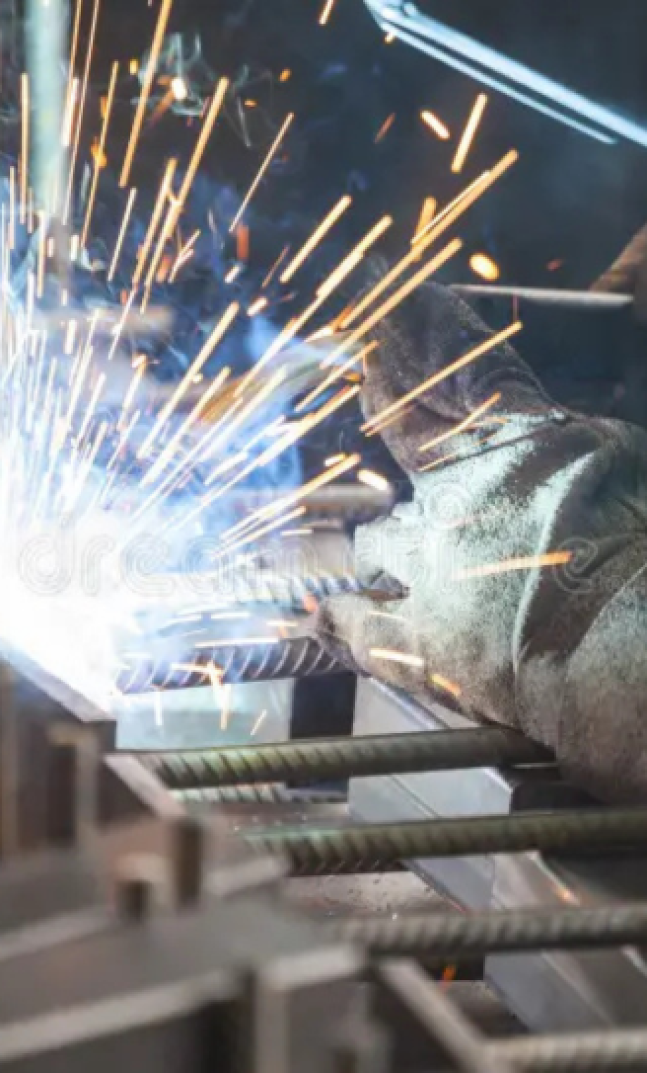 Untitled design (10)